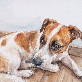 Aquarela